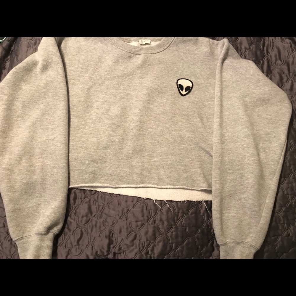 Brandy Melville cropped sweatshirt.